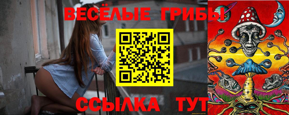 Псилоцибиновые грибы GOLDEN TEACHER  Вход с VPN  купить наркотик  Псилоцибиновые грибы Magic Shrooms  Севастополь 